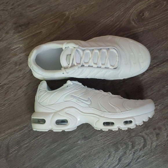 Nike Other - Nike Air Max Plus